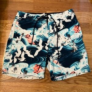 American Eagle Outfitters Board Shorts Size S